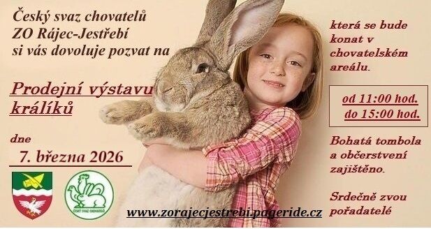 vystava kraliku 26.jpg